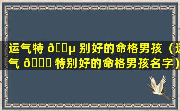 运气特 🐵 别好的命格男孩（运气 🐒 特别好的命格男孩名字）